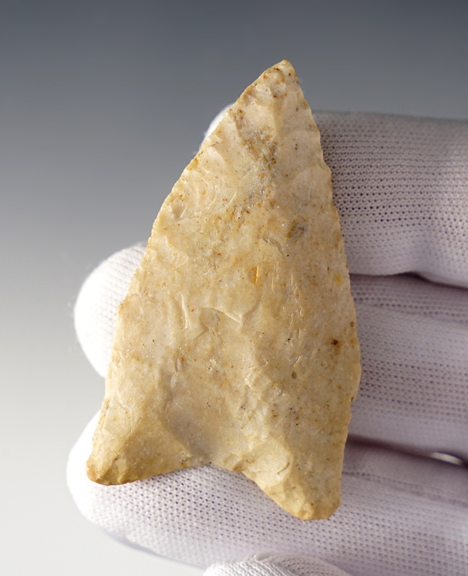 Well made 2 1/4" Dalton found in Columbia, Missouri. Ex. David Davidson.