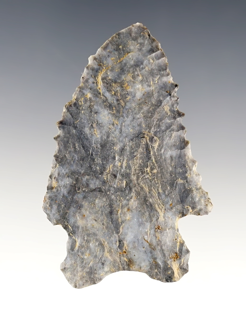 Classic 2 3/8" Ohio MacCorkle Bifurcate with fine serrations. Found by Larry Morris.