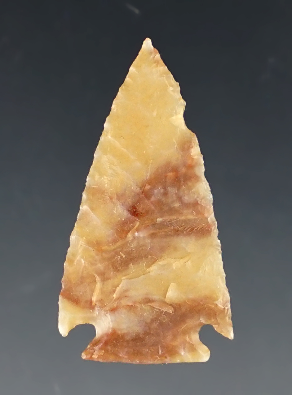 Exceptionally thin and well made 1 1/16" Cornernotch made from colorful Alibates. Found in Kansas.