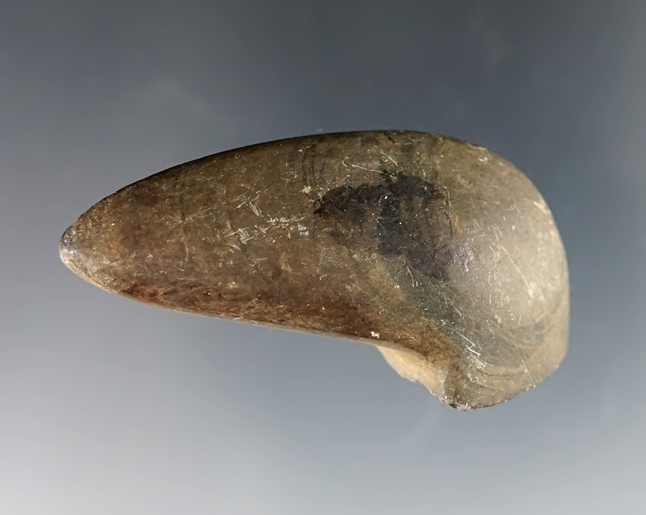 2 1/8" Birdstone Head that was broken and anciently smoothed over.