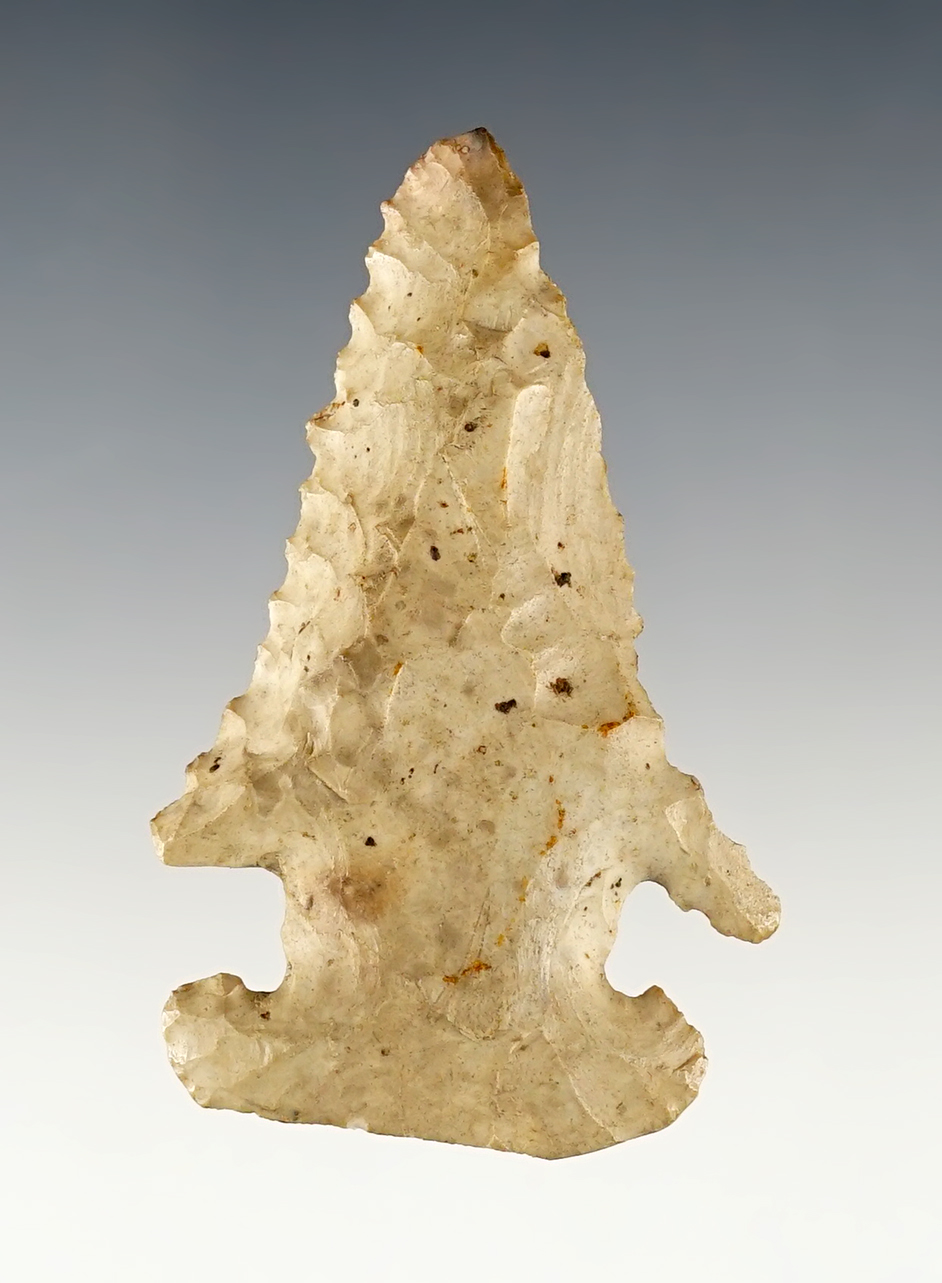 2 9/16" Ohio Thebes E-Notch with well defined notches. Steeply beveled.