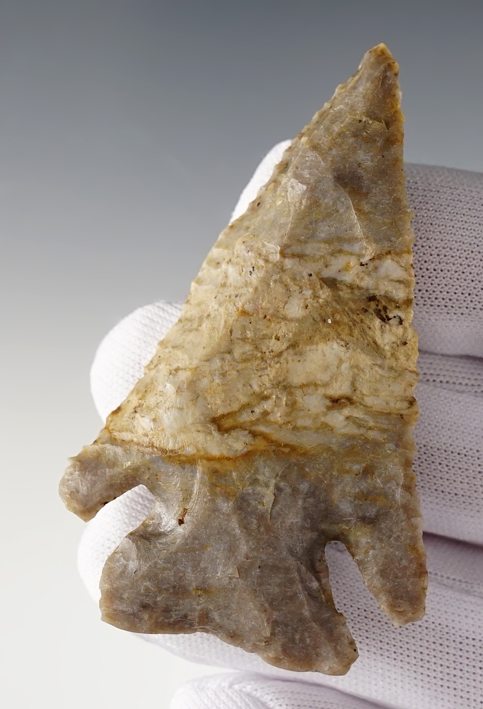 2 3/4" Steeply beveled Archaic point with nice deep notches and excellent basal grinding. Ohio.