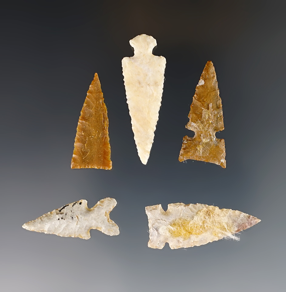 Set of 5 assorted Kansas points in excellent condition. The largest is 1 9/16".
