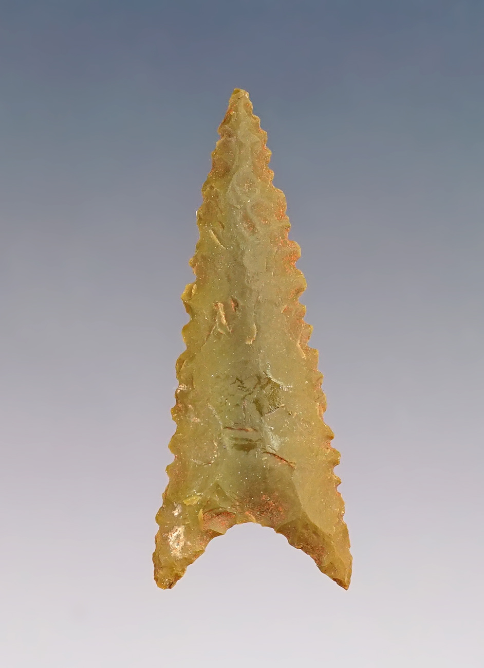 1 5/16" Maud found near Lake Bob Sandlin in Texas. Finely serrated. Ex. Flippo collection.