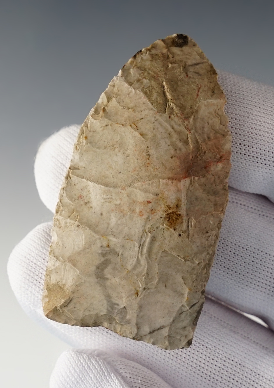 2 5/16" Unfluted Paleo Clovis found in Michigan. 