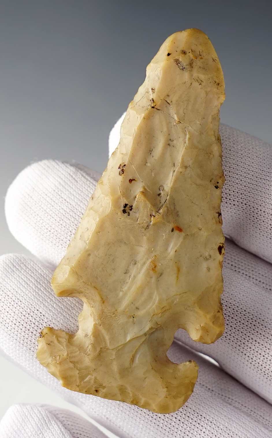 2 7/8" Flint Ridge Thebes E-Notch with well defined notches. Medina Co., Ohio. Jackson COA.