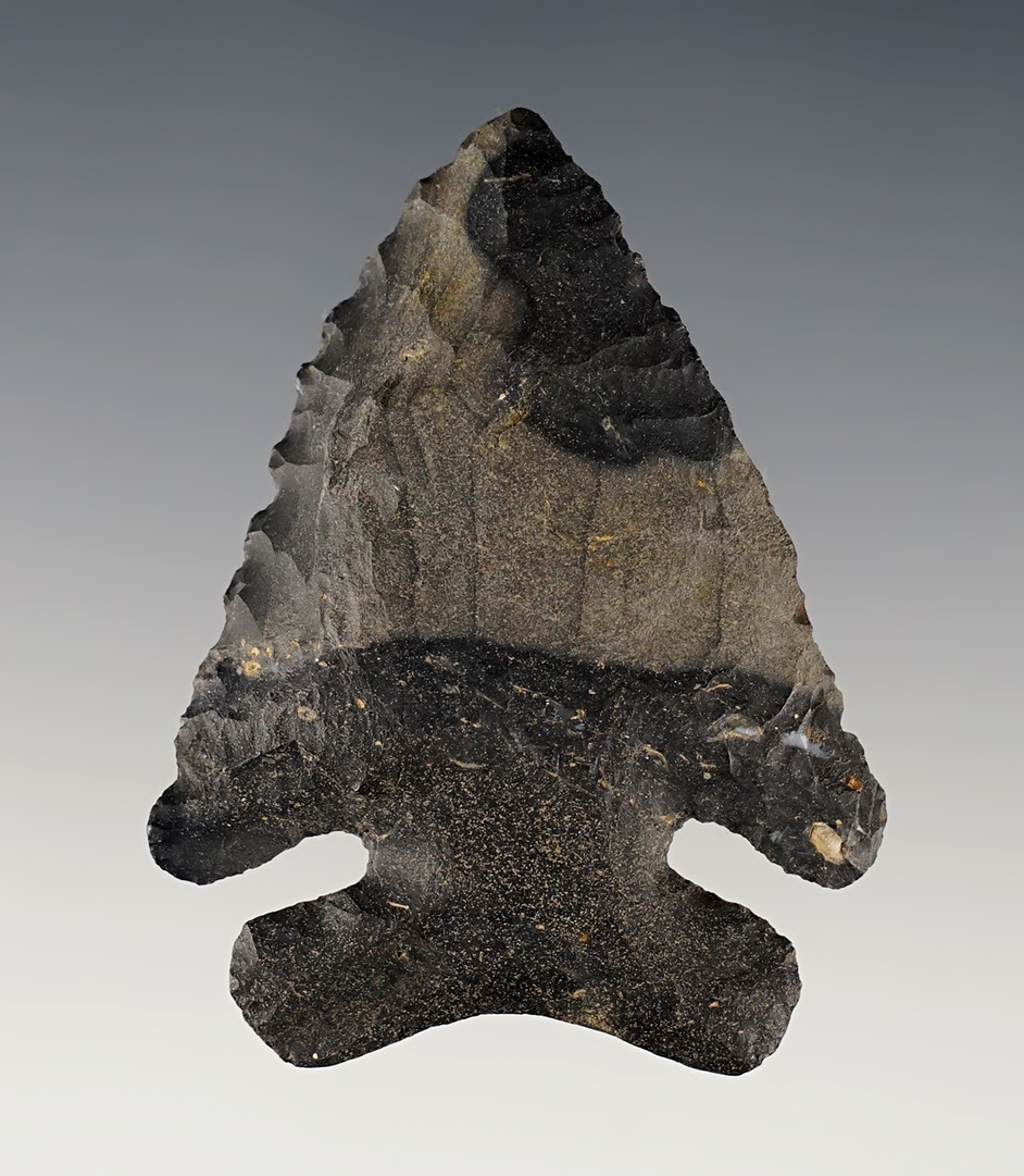 2 3/8" nicely beveled Coshocton Flint Archaic Thebes found in Ohio.