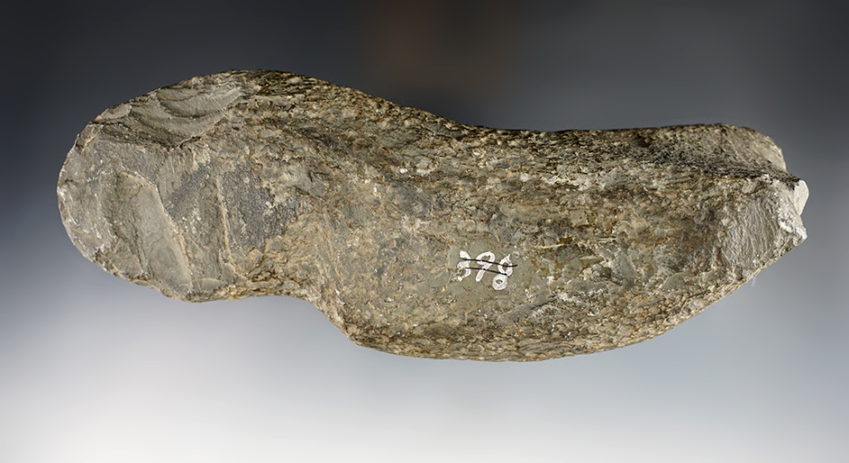 Large 7 1/2" Birdstone Preform made from Slate. Found in the Ohio area.