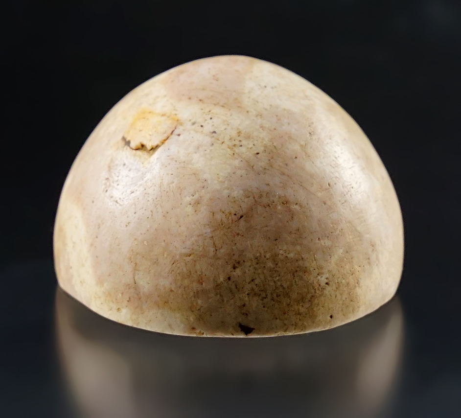 1 5/8" highly polished Cone - Quartz. Nice example. Found in Pickaway Co., Ohio.