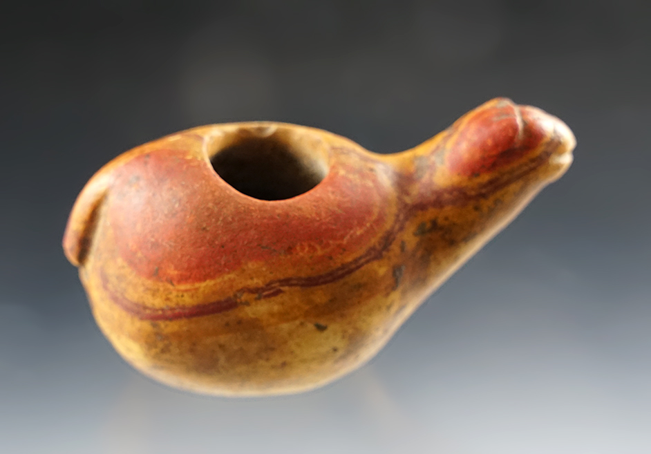 3" Canopa with outstanding color. Found in South America.