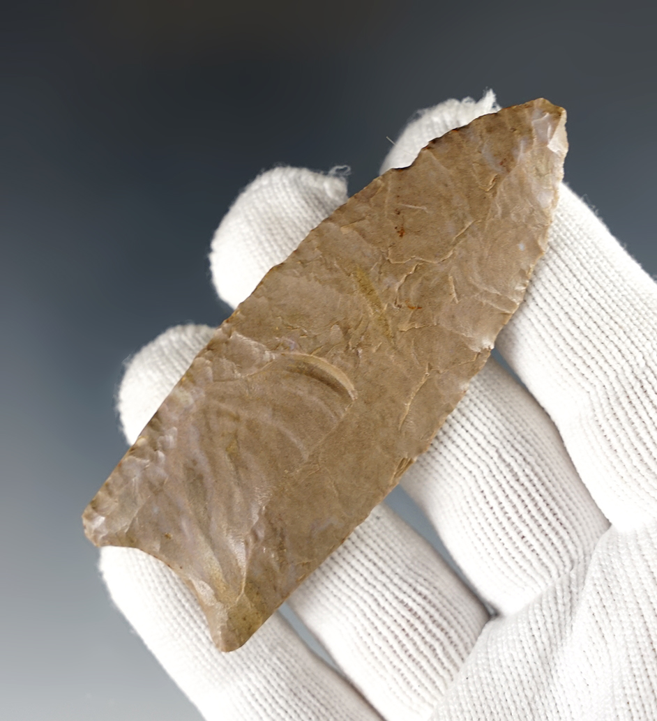 Fine 3 1/8" Fluted Paleo Clovis found in Tennessee - Ft. Payne Chert. Ex. Allen. COA.