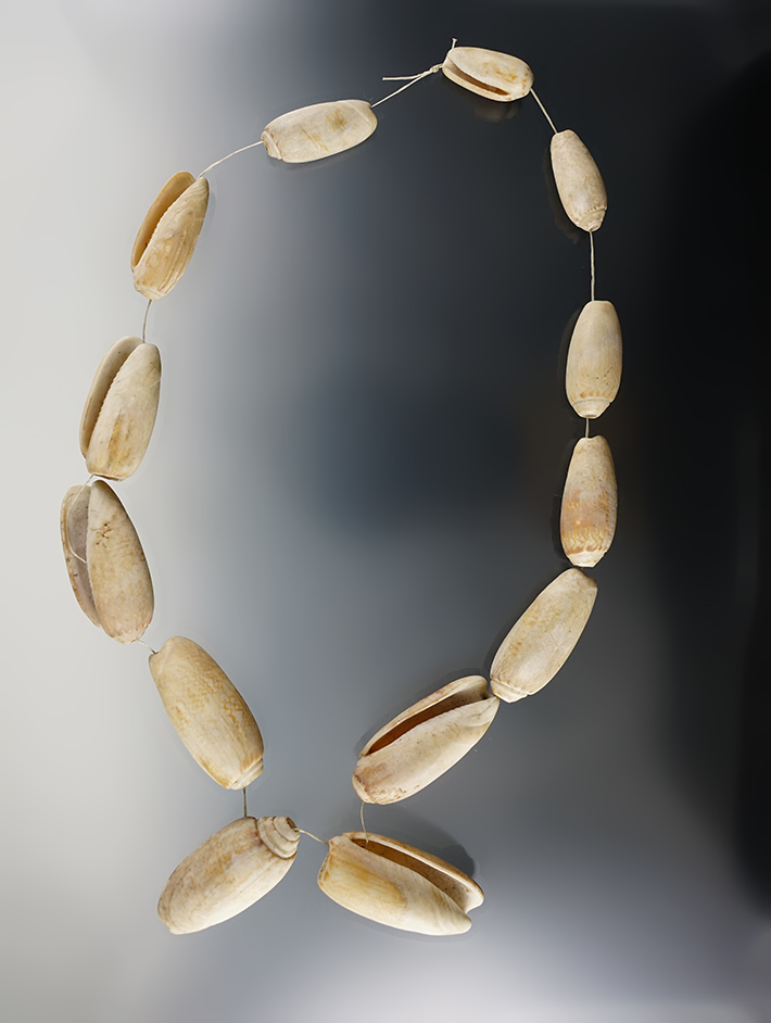 20" Strand of Shell Beads - Kansas. Late Woodland Period. Ex. Steve Smith, Kevin Holt. 