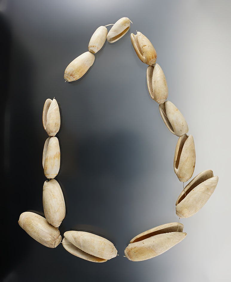 22" Strand of Shell Beads - Kansas. Late Woodland Period. Ex. Steve Smith, Kevin Holt. 