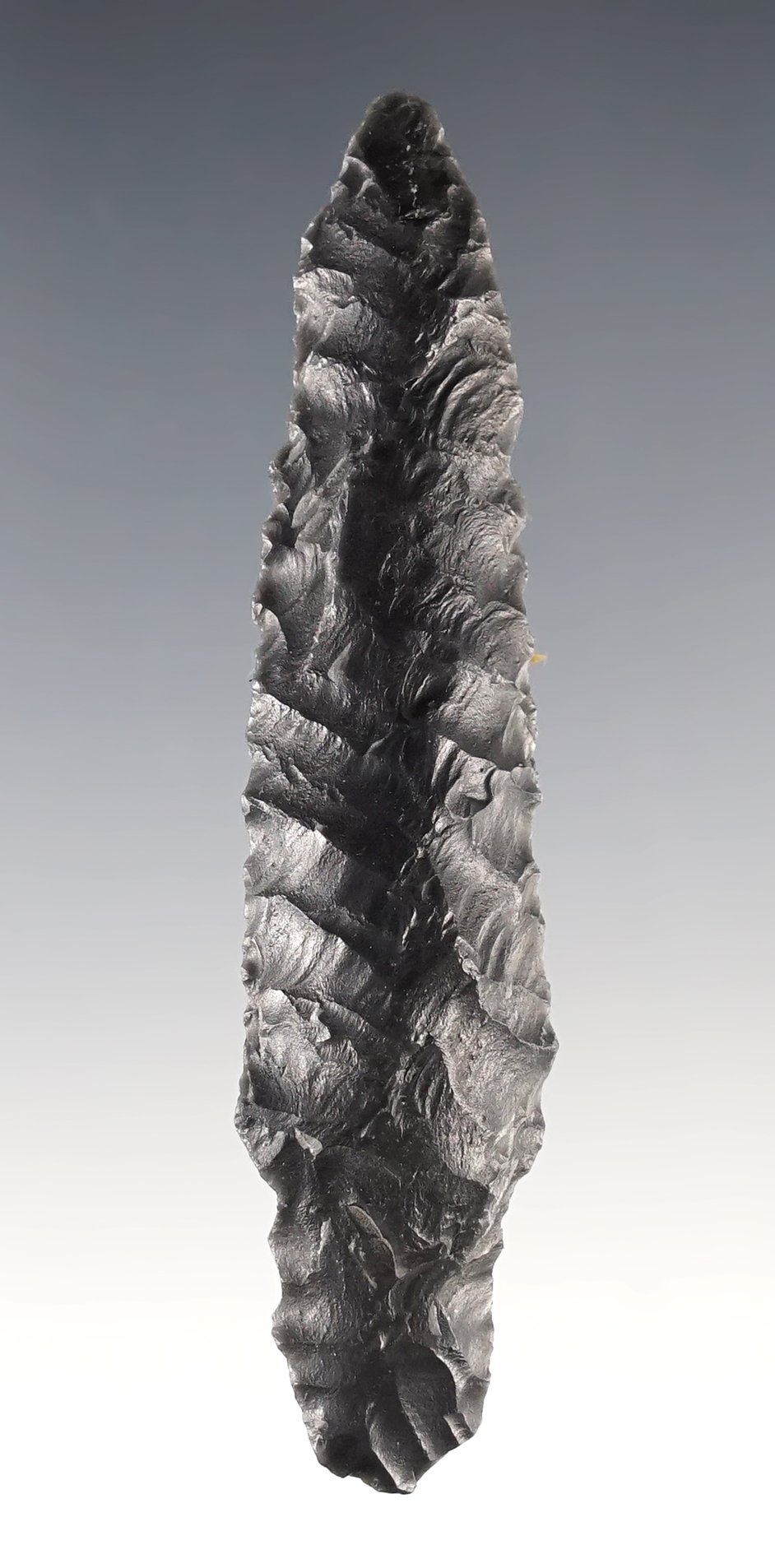 Classic style 3 1/8 " Bear Point found in Alaska.