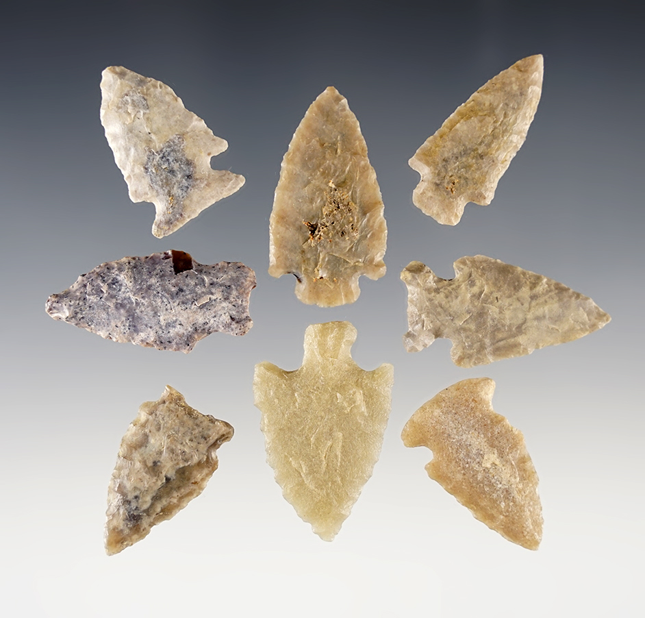 Set of 8 nice Colorado points. The largest is 1 5/16".