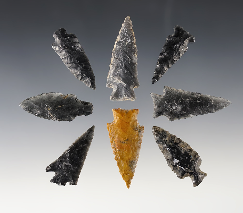 Set of 8 Points found in Lake Co., Oregon. Ex. Slim Fuel. The largest is 1 7/8".