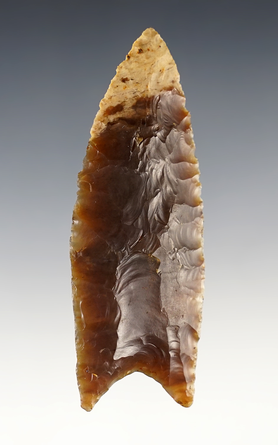 SUPERB! 3 5/16" Paleo Fluted Clovis - Caribou Co., Idaho. Ex. Fred Edwards. Bennett COA.