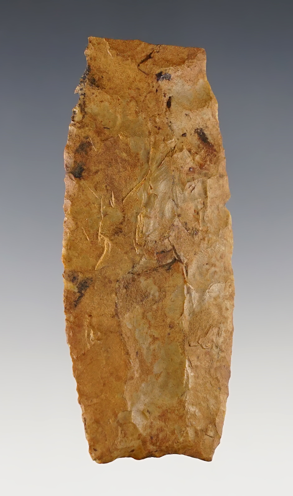 3 1/4" Kentucky Fluted Paleo Point with ancient damage to the tip. A great restoration candidate. 