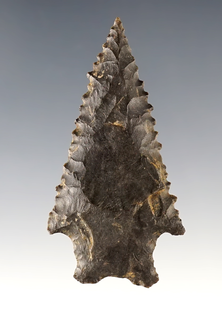 Incredibly fine serrations on this 2 3/16" Kentucky Kirk. Needle sharp tip and in excellent condition. 