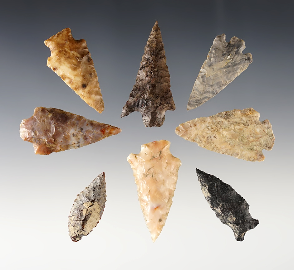 Set of 8 assorted Points found near the Columbia River in the Washington/Oregon area. 
