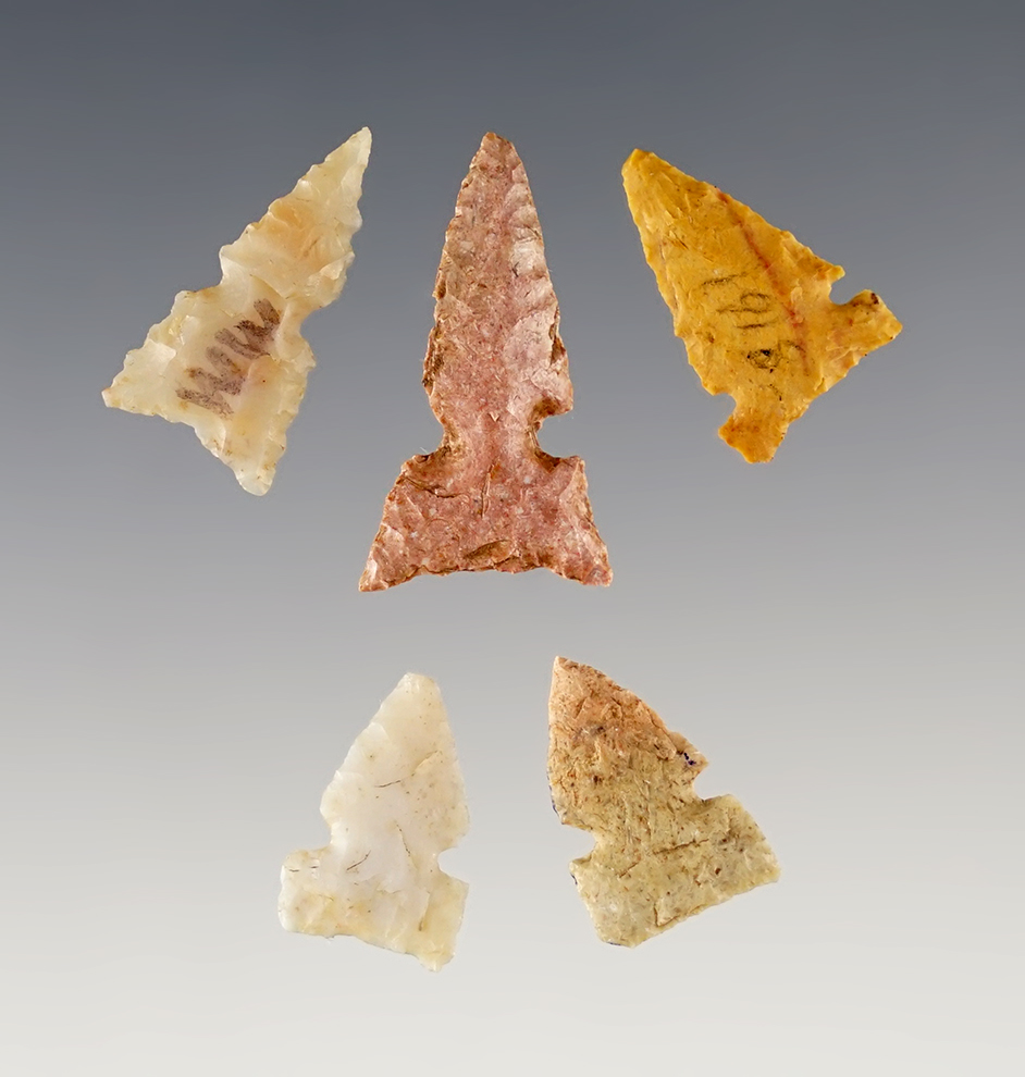 Set of 5 fine Sidenotched Points found by Al Cornwall in Major Co., Oklahoma in 1970-71. 
