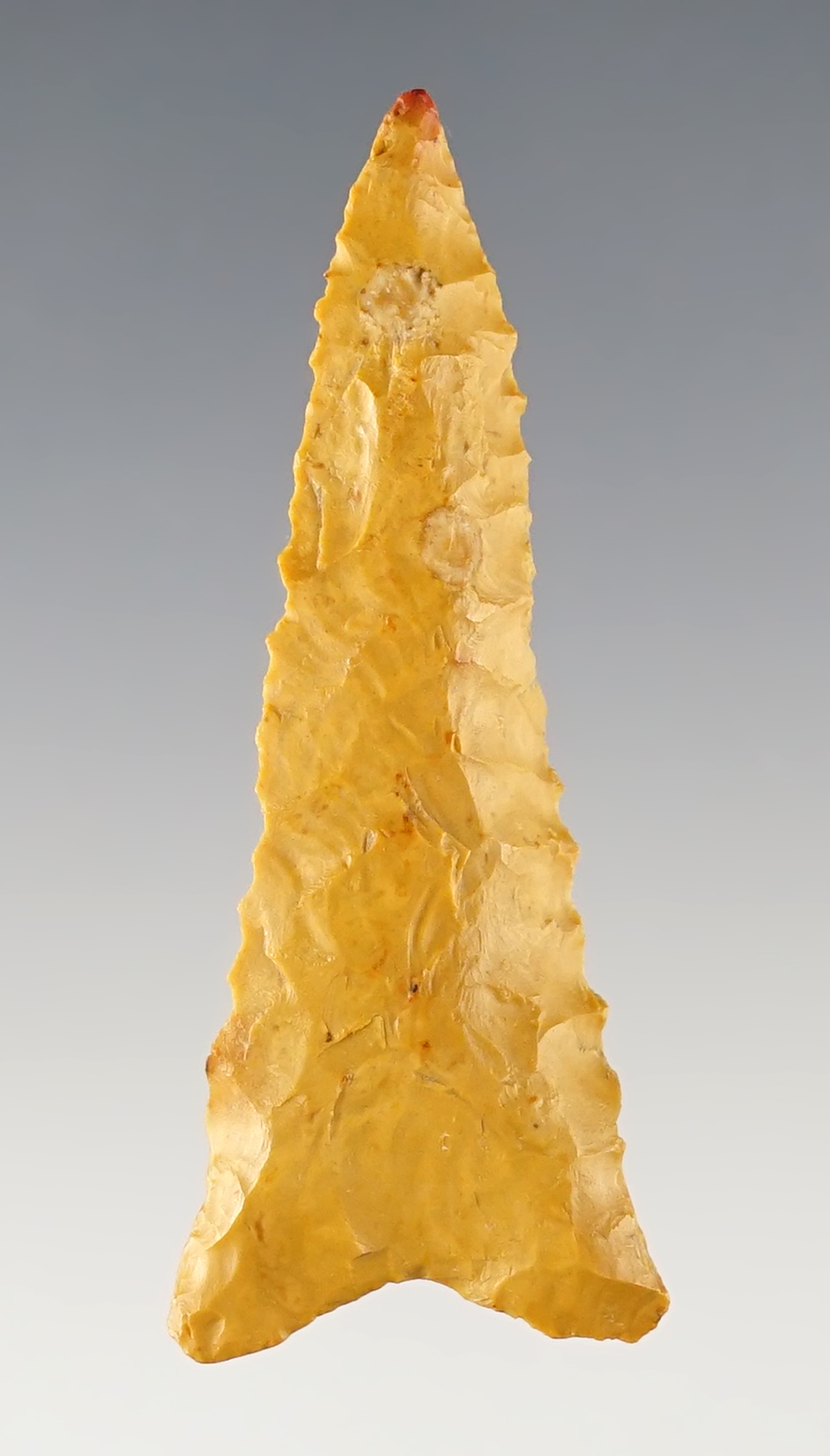 2 5/16" well patinated Dalton found in Kentucky. Ex. Garry Mumaw.