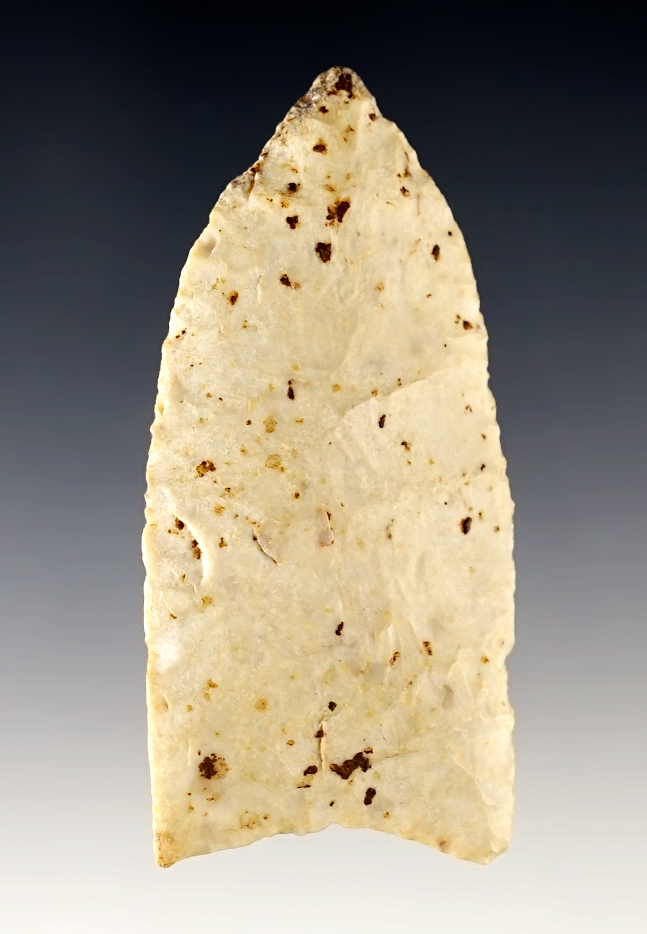 Fine 2 7/16" Missouri Plainview with excellent grinding to the lower blade edges. 