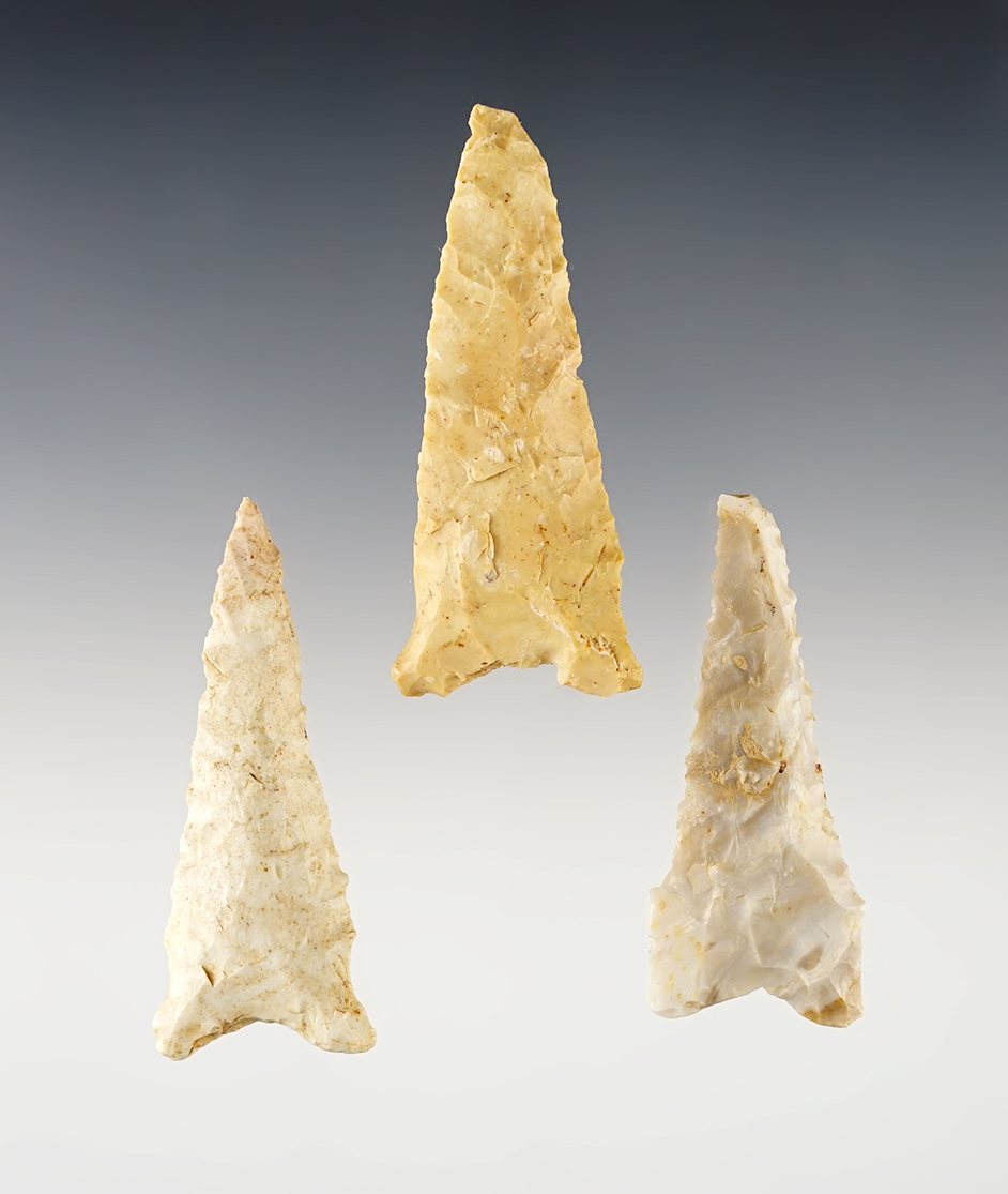 Set of 3 nice Dalton points found in Arkansas. Ex. Partain. The largest is 2 1/4".