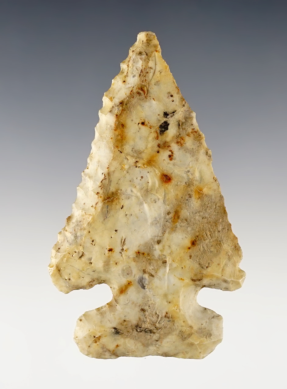 Steeply beveled 3 3/16" Archaic Thebes found in Morrow Co., Ohio. Classic example.