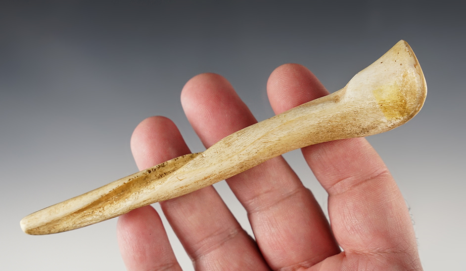 Nicely styled 5 3/8" Whelk Shell core Pendant in excellent condition. Found in Mercer Co., Ohio. 