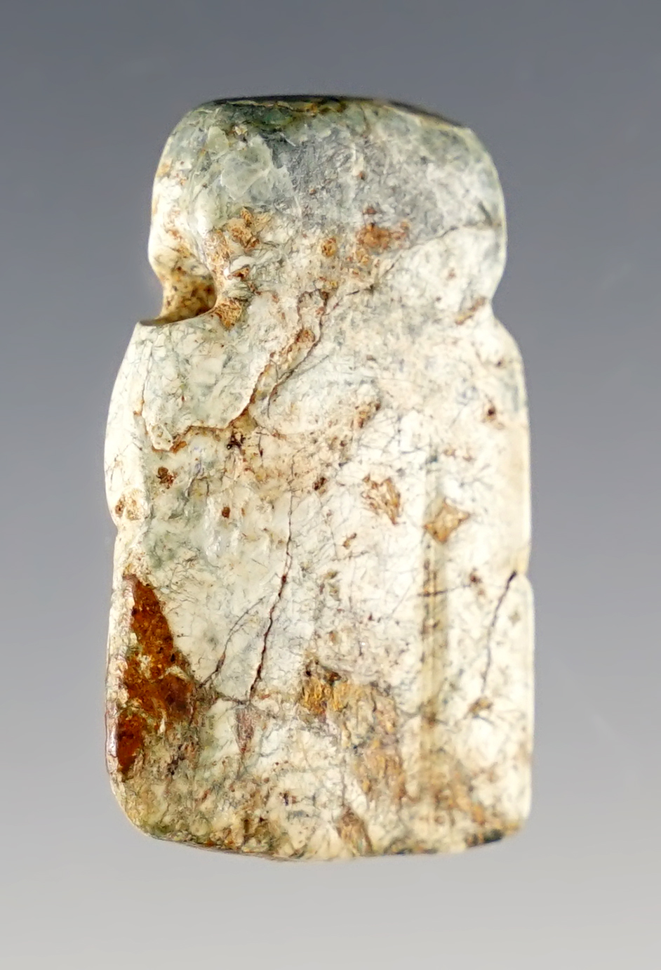 1 1/8" Avian Form Serpentine Pendant, Costa Rica, Nicoya Peninsula, Guanacaste Province.