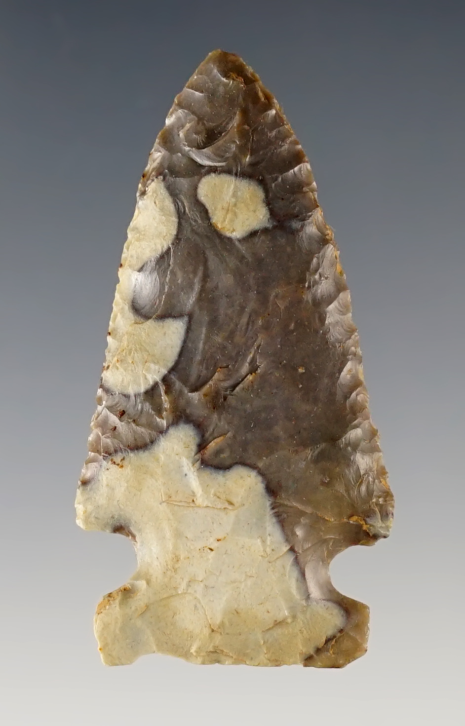 2 1/8" Archaic Sidenotch made from exotically colored Flint. Davies Co., Kentucky.