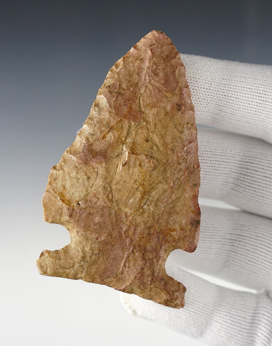 3 1/8" Big Sandy Broadbase with heavy basal grinding. Tennessee area.