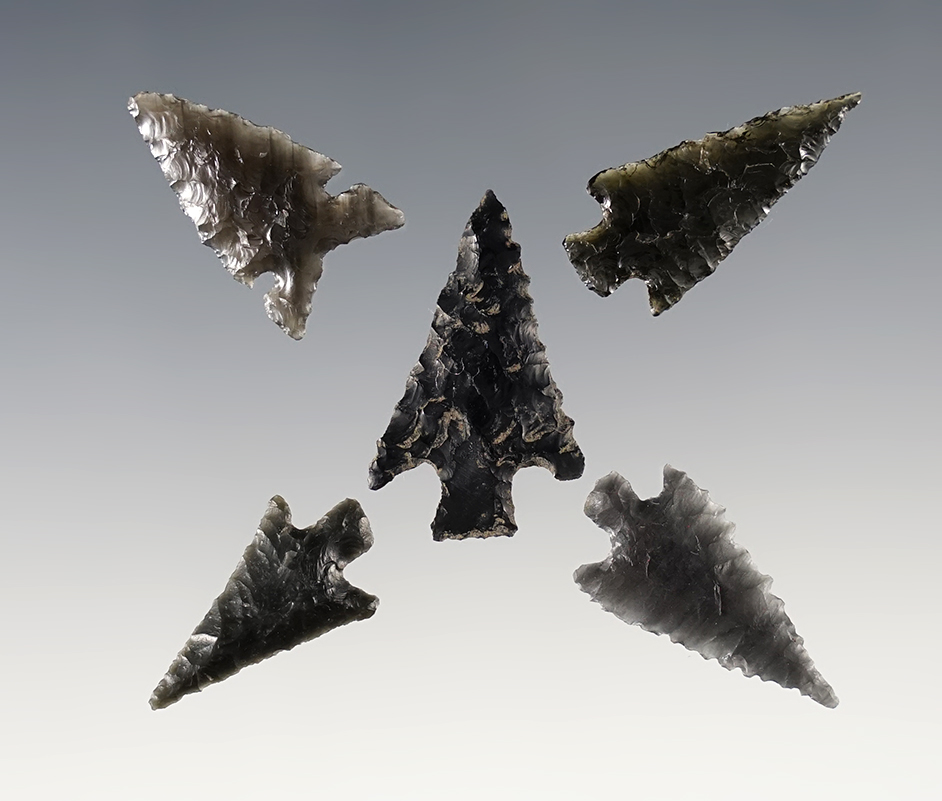 Set of 5 Obsidian points in nice condition. The largest is 1 3/16".