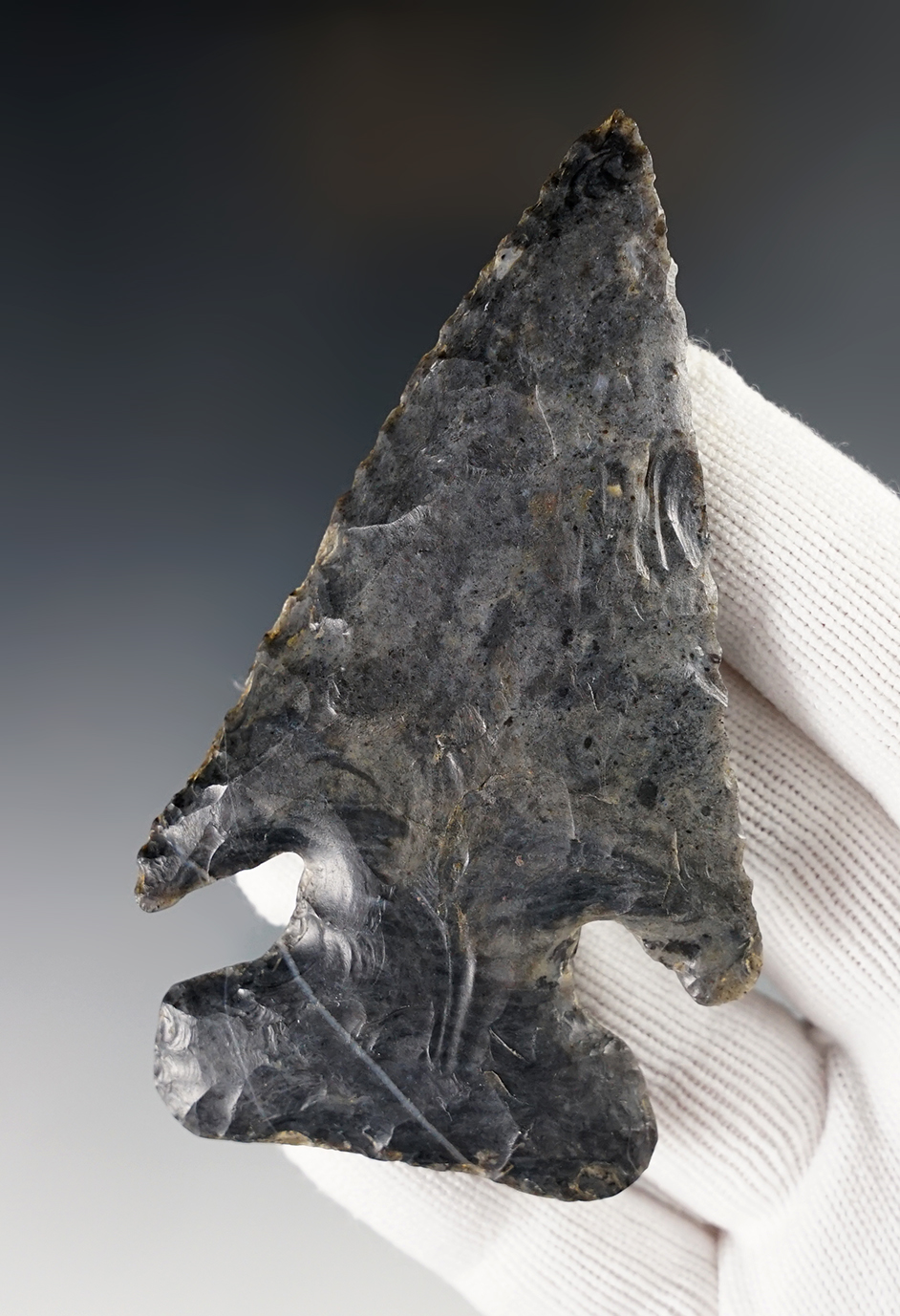 3 1/2" x 2" Dog Leg Bevel that is well made from Coshocton Flint. Found in Wayne Co., Ohio.