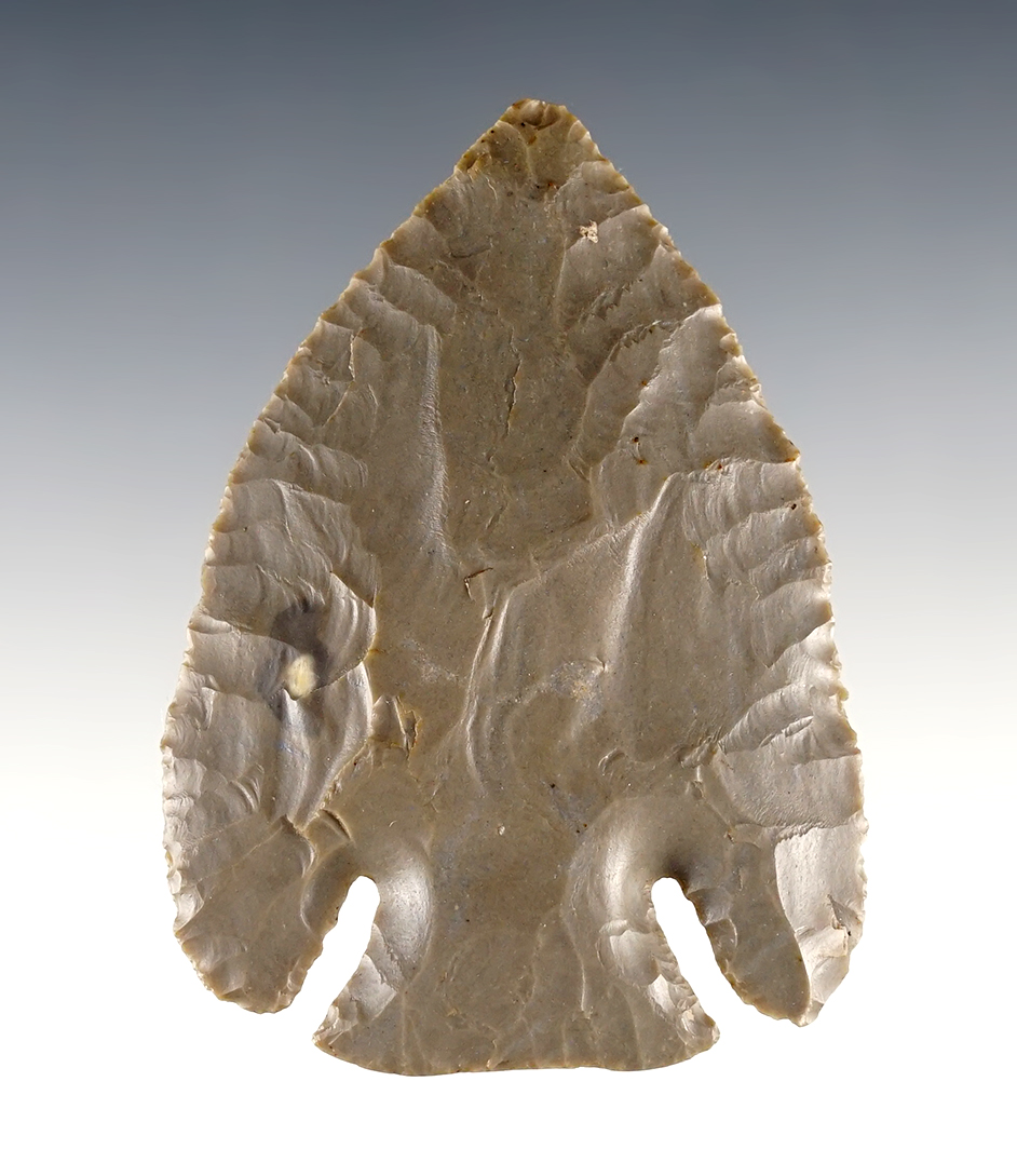 3" x 2 1/8" Classic and well flaked Lost Lake found in Steuben Co., Indiana. Ex. Mac Schumm.