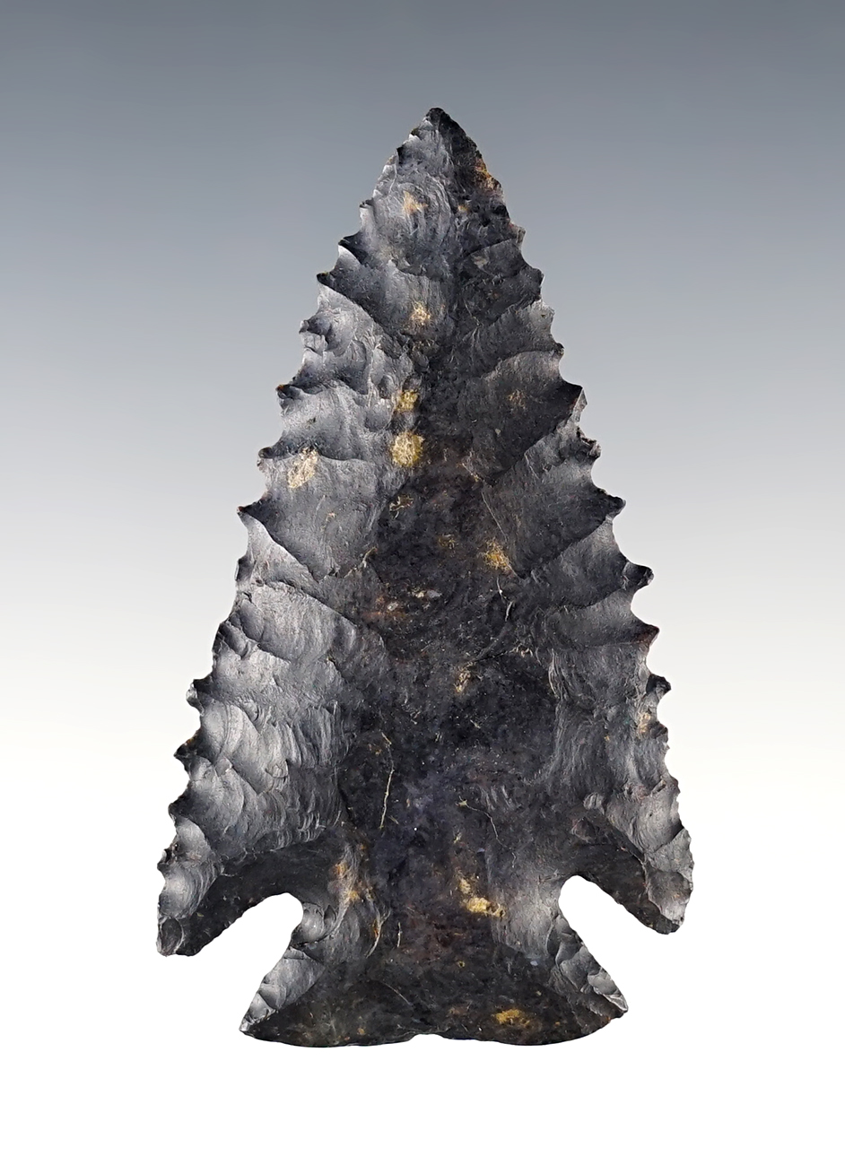 Superb! 3" highly serrated Ohio Notch-Base Dovetail - Coshocton Flint. Found in Ross Co., Ohio. 