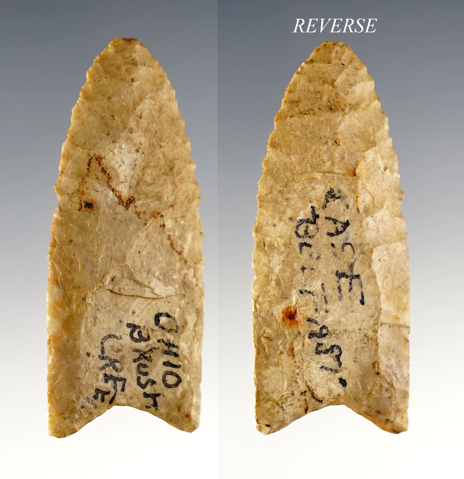 Excellent form on this 2 3/8" Fluted Paleo Clovis found around Belfast, Highland Co., Ohio. 