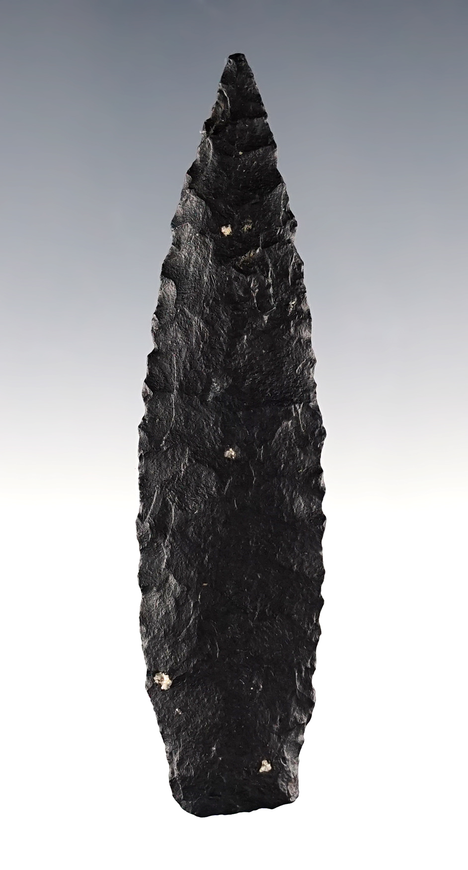 3 1/8" Stemmed Leaf Point found close to the Humboldt Sink, Nevada. Perino COA.