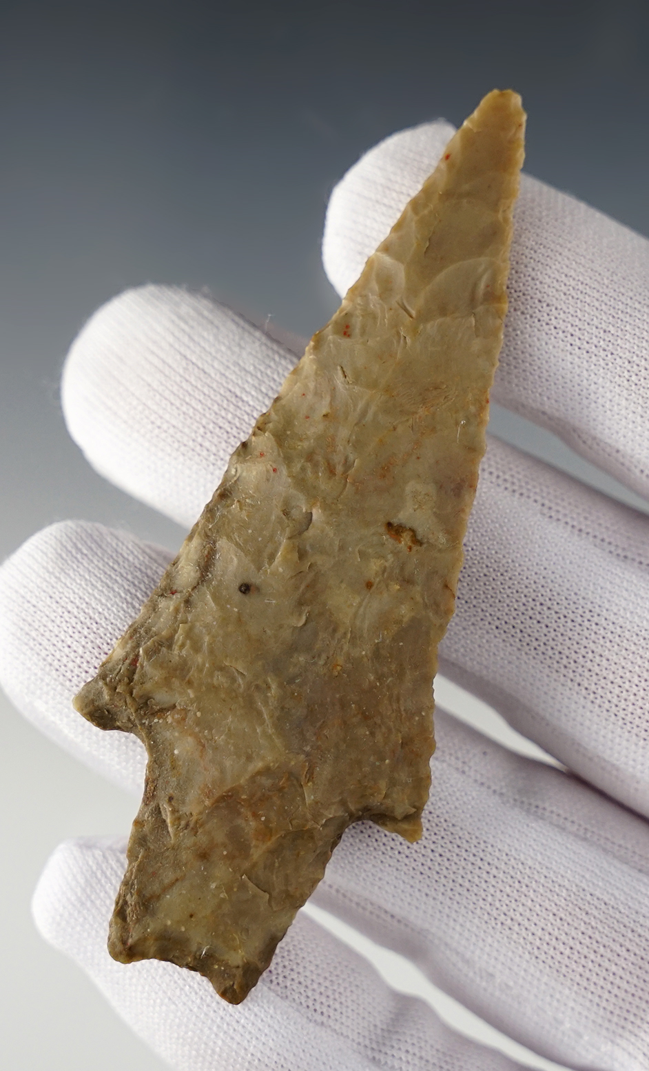 Classic 3 3/8" well patinated Pedernales found in Texas. 