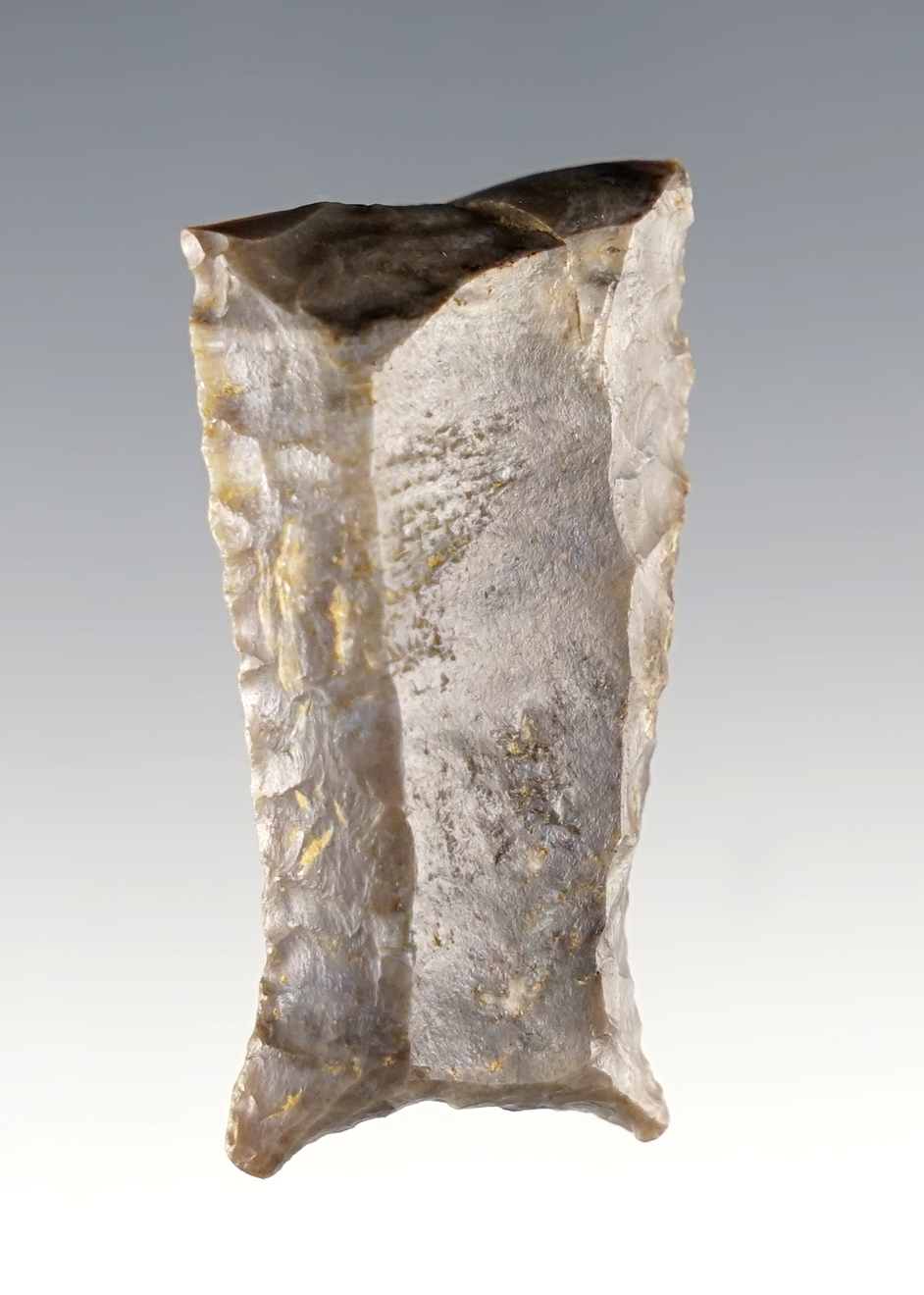 1 11/16" Paleo Cumberland Base found in Kentucky. Great restoration candidate!