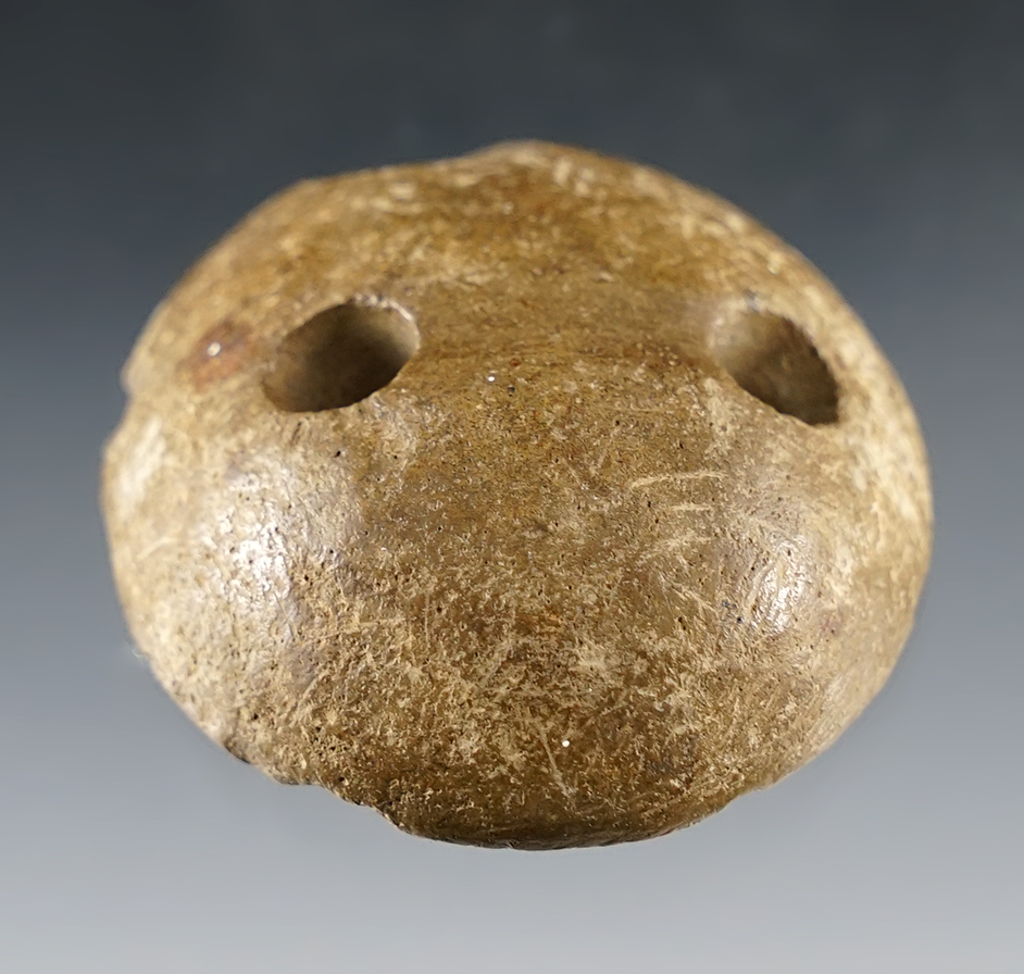 1 5/8" Unique Drilled Cone found in Somerset, Kentucky.