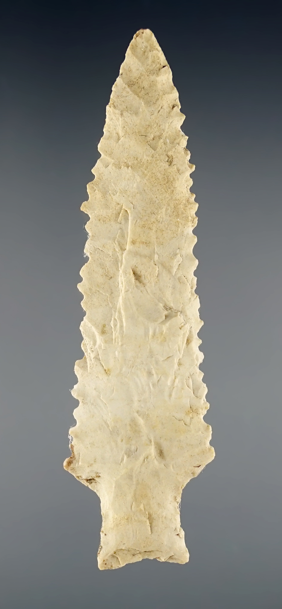 Incredible serrations on this 3 1/8" Neches found in Southeast Texas. Ex. Greg Perino.