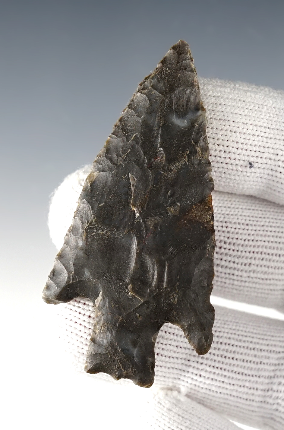 Nice 2 1/2" Buck Creek found in Monroe Co., Kentucky.