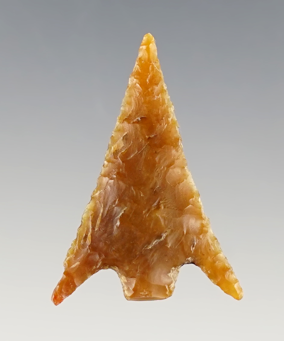 1 3/16" Columbia Plateau that is well flaked. Found in the Washington/Oregon area. 