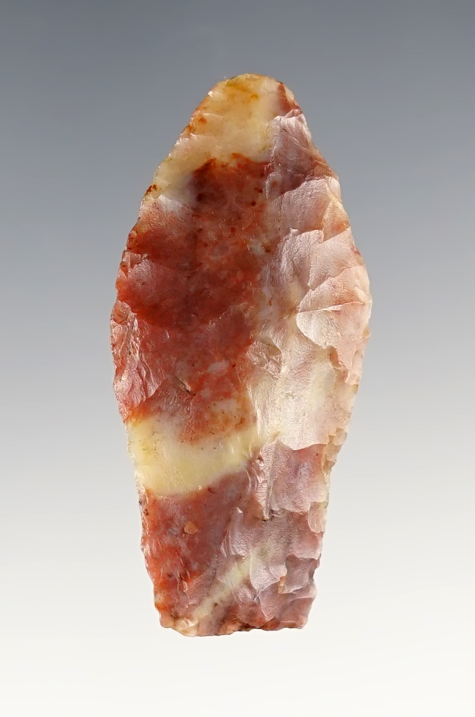 1 7/8" Hell Gap made from highly colorful Alibates. Found in west Texas. German COA.