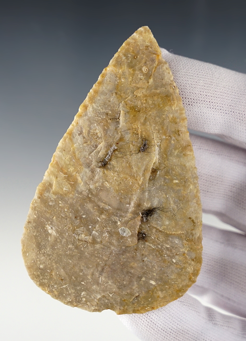 Thin and well made 3 1/4" Hopewell Blade. Found by Charles Long in Madison Co., Kentucky.