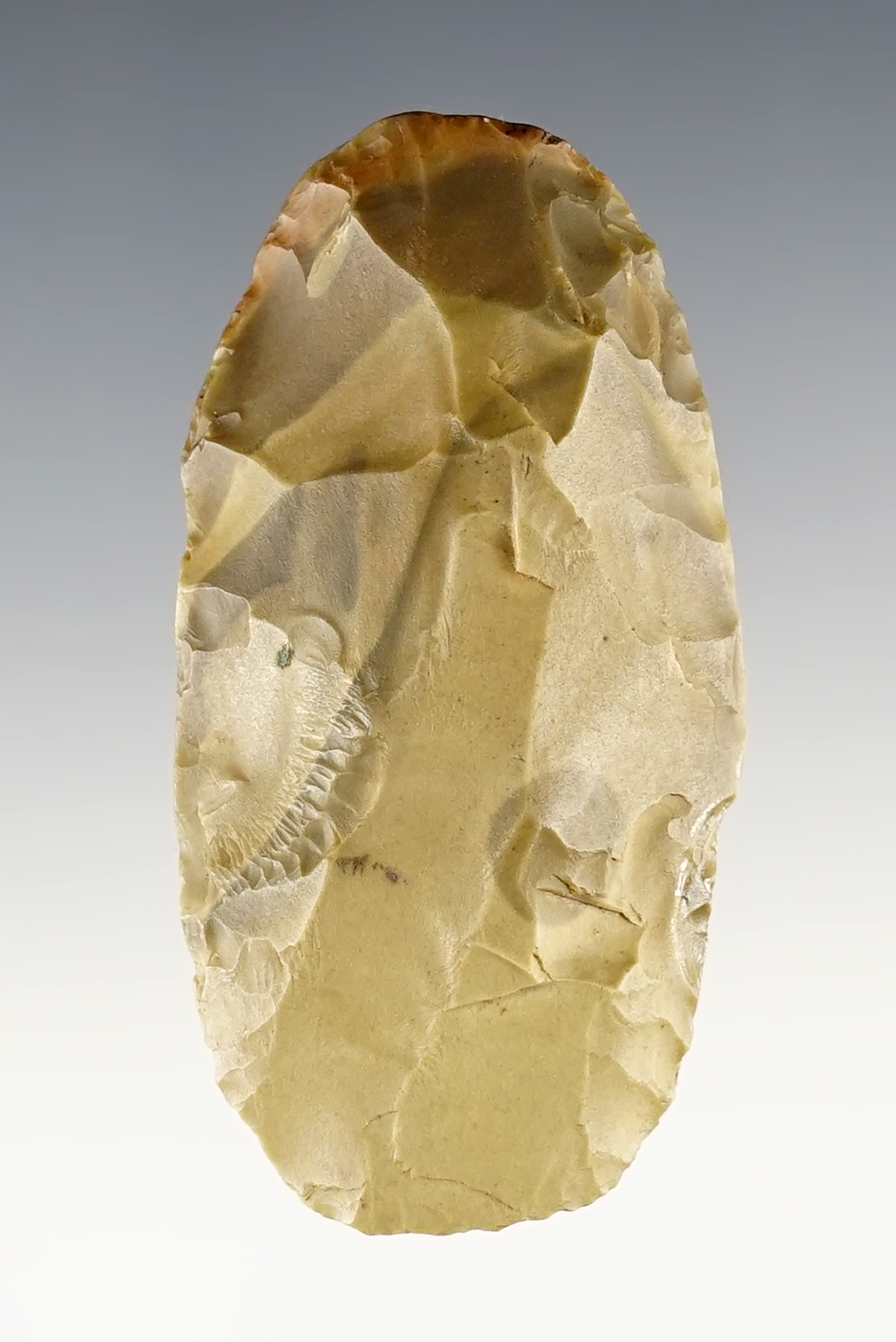 Nicely colored 2 9/16" Flint Celt made from St. Louis Green. Found in Central Kentucky.