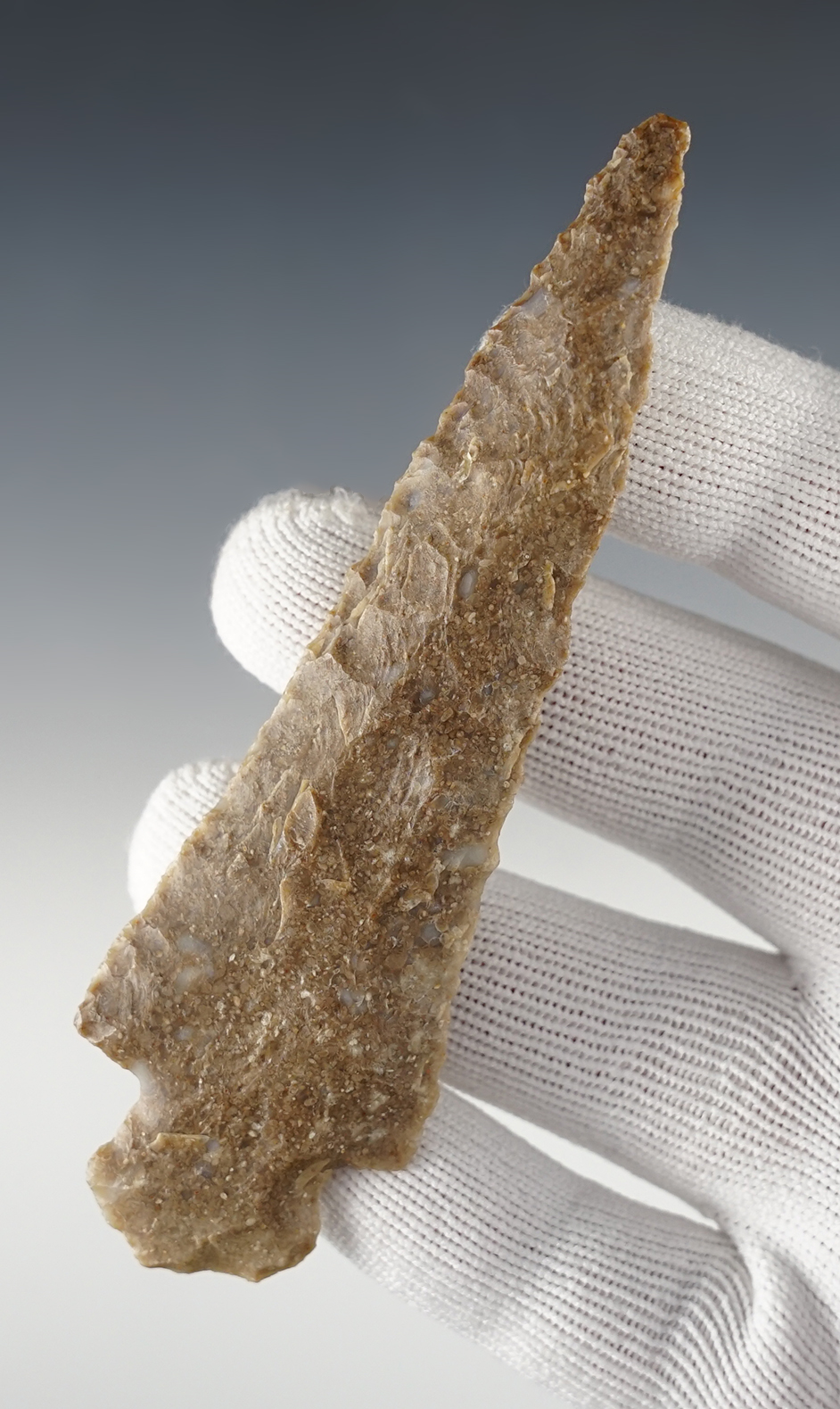 Nice 4 3/8" Axtell - Oolithic Chert with ground notches. East Central Texas. Stermer COA.