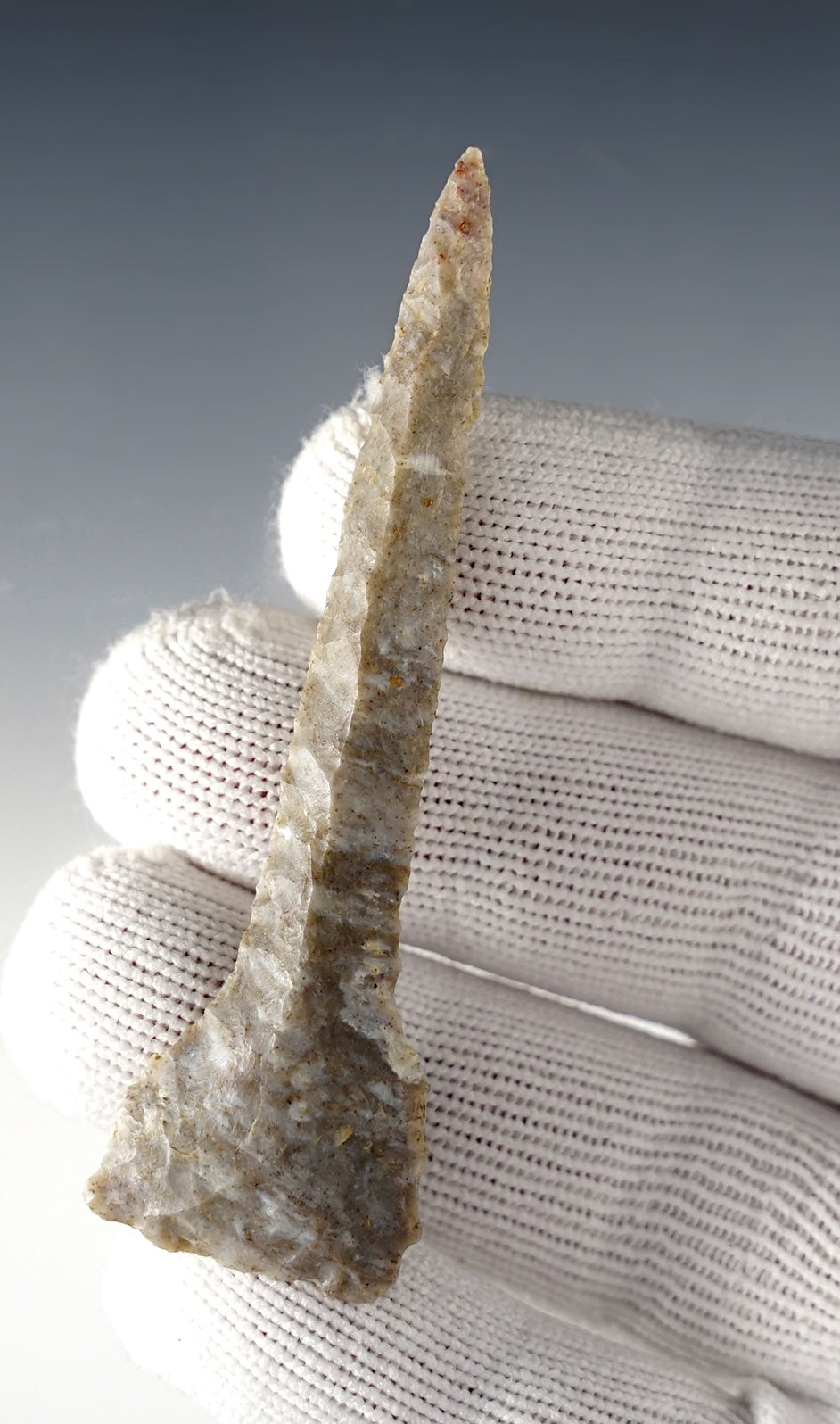 Well made 3 1/16" Muldraugh Ft. Payne Chert Drill found in Kentucky. 